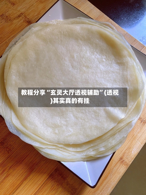 教程分享“玄灵大厅透视辅助”(透视)其实真的有挂-第3张图片