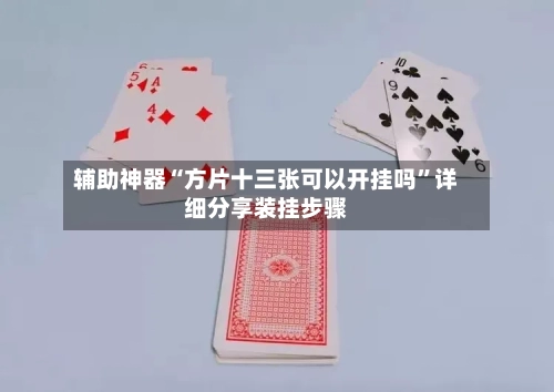 辅助神器“方片十三张可以开挂吗”详细分享装挂步骤-第3张图片