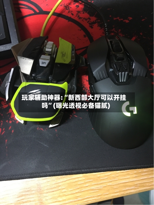 玩家辅助神器:“新西部大厅可以开挂吗”(曝光透视必备猫腻)-第2张图片