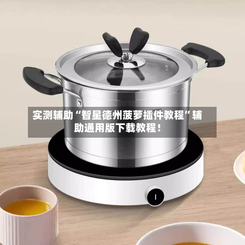 实测辅助“智星德州菠萝插件教程”辅助通用版下载教程！-第2张图片