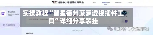 实操教程“智星德州菠萝透视插件工具	”详细分享装挂-第2张图片
