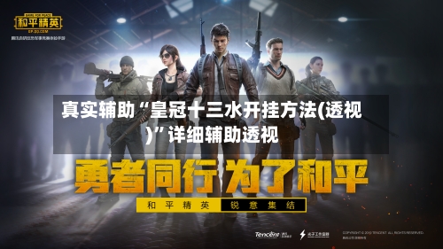 真实辅助“皇冠十三水开挂方法(透视)”详细辅助透视-第2张图片
