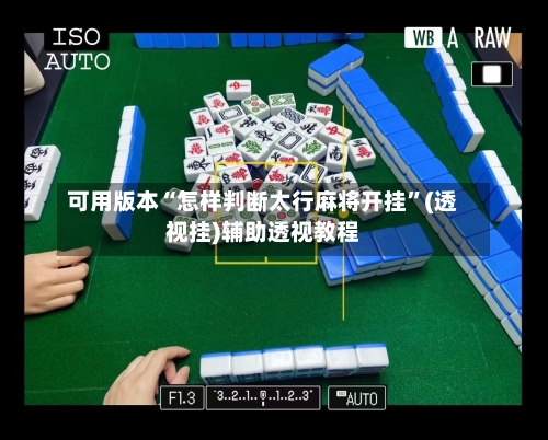 可用版本“怎样判断太行麻将开挂”(透视挂)辅助透视教程-第2张图片