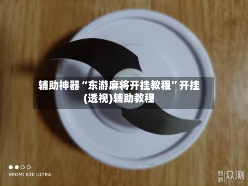 辅助神器“东游麻将开挂教程”开挂(透视)辅助教程
