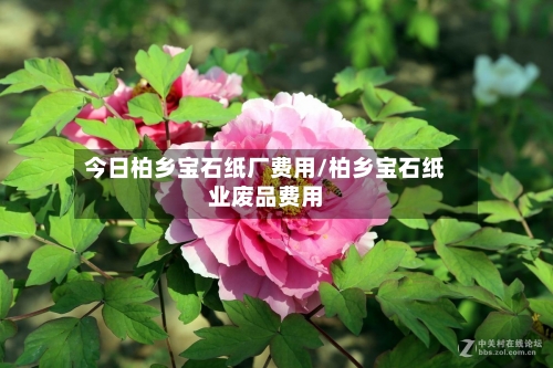 今日柏乡宝石纸厂费用/柏乡宝石纸业废品费用