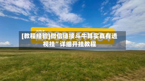 [教程经验]微信链接斗牛其实真有透视挂”详细开挂教程-第3张图片