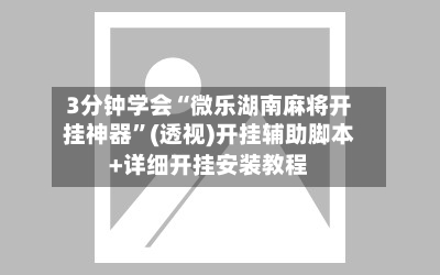 3分钟学会“微乐湖南麻将开挂神器	”(透视)开挂辅助脚本+详细开挂安装教程-第3张图片