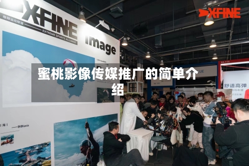 蜜桃影像传媒推广的简单介绍-第3张图片