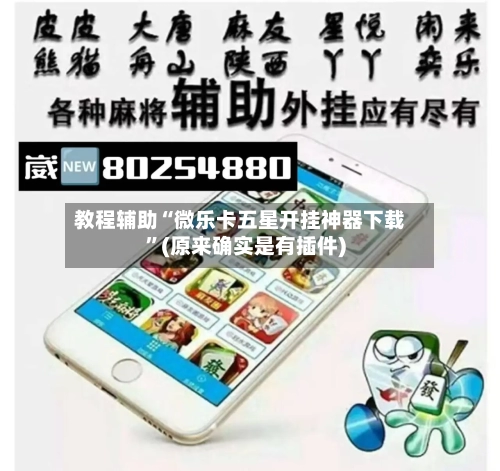 教程辅助“微乐卡五星开挂神器下载	”(原来确实是有插件)-第2张图片
