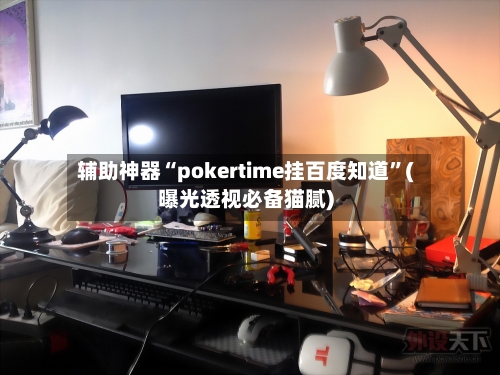 辅助神器“pokertime挂百度知道”(曝光透视必备猫腻)-第2张图片