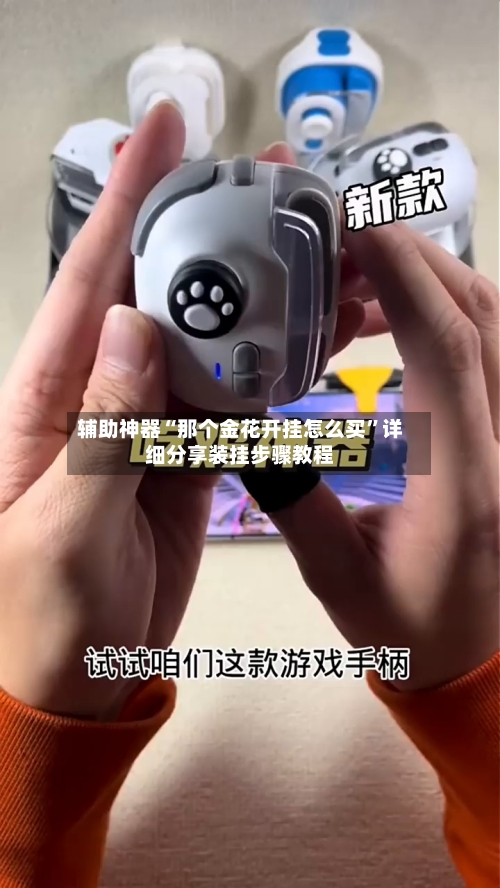 辅助神器“那个金花开挂怎么买”详细分享装挂步骤教程