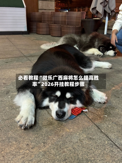 必看教程“微乐广西麻将怎么提高胜率”2026开挂教程步骤-第3张图片