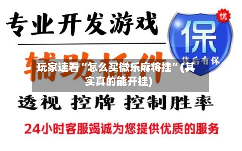 玩家速看“怎么买微乐麻将挂”(其实真的能开挂)-第2张图片