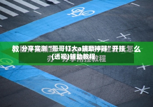 分享实测“哥哥打大a辅助神器”开挂(透视)辅助教程-第2张图片
