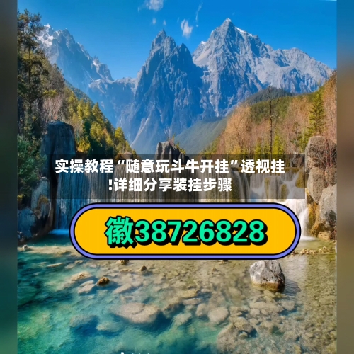 实操教程“随意玩斗牛开挂”透视挂!详细分享装挂步骤-第2张图片