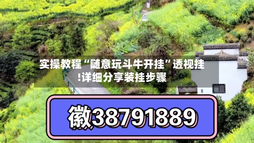 实操教程“随意玩斗牛开挂	”透视挂!详细分享装挂步骤-第3张图片