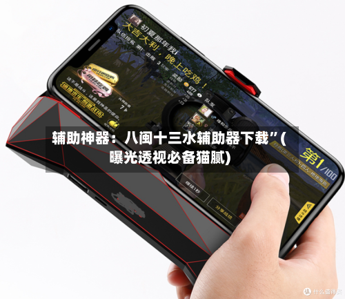辅助神器：八闽十三水辅助器下载	”(曝光透视必备猫腻)-第2张图片