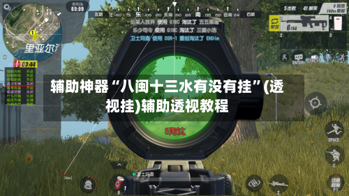 辅助神器“八闽十三水有没有挂”(透视挂)辅助透视教程-第2张图片