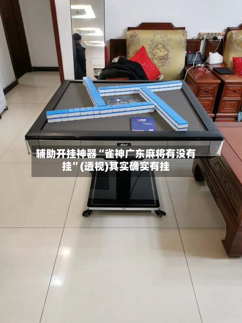 辅助开挂神器“雀神广东麻将有没有挂	”(透视)其实确实有挂-第2张图片
