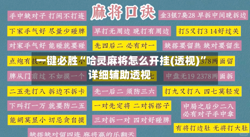 一键必胜“哈灵麻将怎么开挂(透视)”详细辅助透视-第2张图片