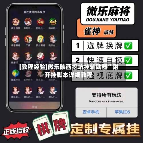 [教程经验]微乐陕西挖坑挂辅助器	”附开挂脚本详细教程-第2张图片