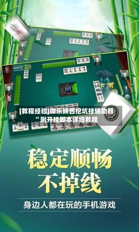 [教程经验]微乐陕西挖坑挂辅助器”附开挂脚本详细教程-第3张图片