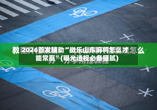 2026首发辅助“微乐山东麻将怎么才能常赢”(曝光透视必备猫腻)-第2张图片