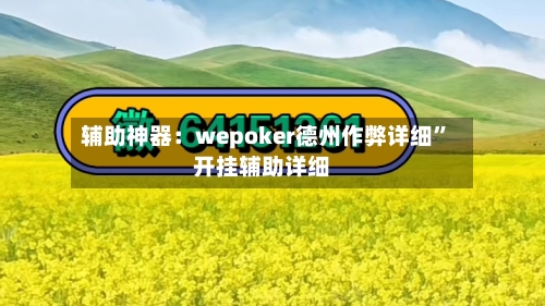 辅助神器：wepoker德州作弊详细”开挂辅助详细-第3张图片