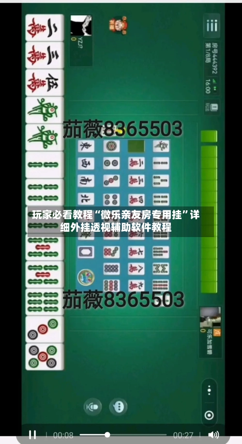 玩家必看教程“微乐亲友房专用挂	”详细外挂透视辅助软件教程-第2张图片