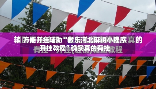 万能开挂辅助“微乐河北麻将小程序开挂教程	”确实真的有挂-第2张图片