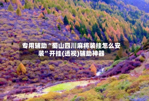 专用辅助“蜀山四川麻将装挂怎么安装”开挂(透视)辅助神器-第2张图片