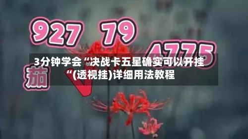 3分钟学会“决战卡五星确实可以开挂“(透视挂)详细用法教程