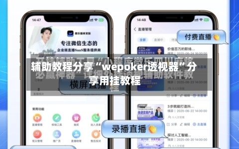 辅助教程分享“wepoker透视器”分享用挂教程-第2张图片