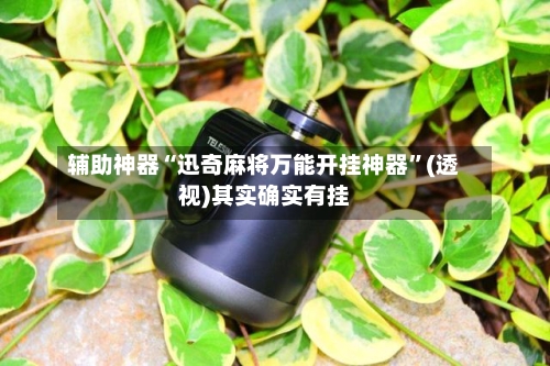 辅助神器“迅奇麻将万能开挂神器”(透视)其实确实有挂-第2张图片