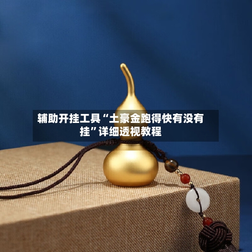 辅助开挂工具“土豪金跑得快有没有挂”详细透视教程-第2张图片