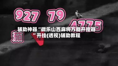 辅助神器“微乐山西麻将万能开挂器”开挂(透视)辅助教程-第2张图片