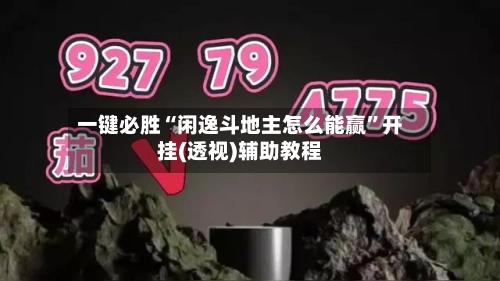 一键必胜“闲逸斗地主怎么能赢”开挂(透视)辅助教程-第2张图片
