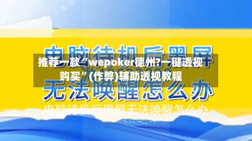 推荐一款“wepoker德州?一键透视购买”(作弊)辅助透视教程-第3张图片