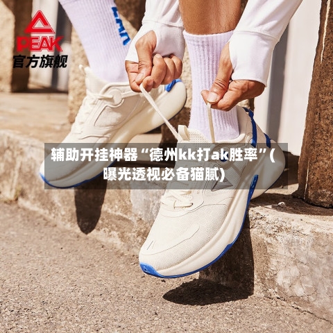 辅助开挂神器“德州kk打ak胜率”(曝光透视必备猫腻)-第3张图片