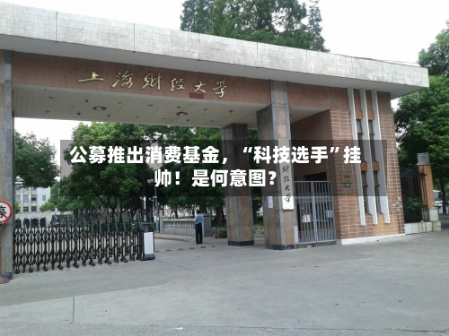 公募推出消费基金，“科技选手”挂帅！是何意图？