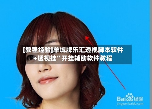 [教程经验]羊城牌乐汇透视脚本软件+透视挂	”开挂辅助软件教程-第2张图片
