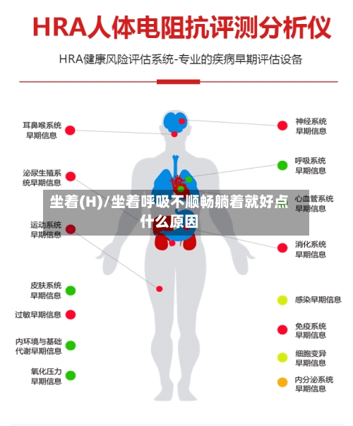 坐着(H)/坐着呼吸不顺畅躺着就好点什么原因-第2张图片