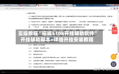实操教程“榕城510k开挂辅助软件	”开挂辅助脚本+详细开挂安装教程-第3张图片