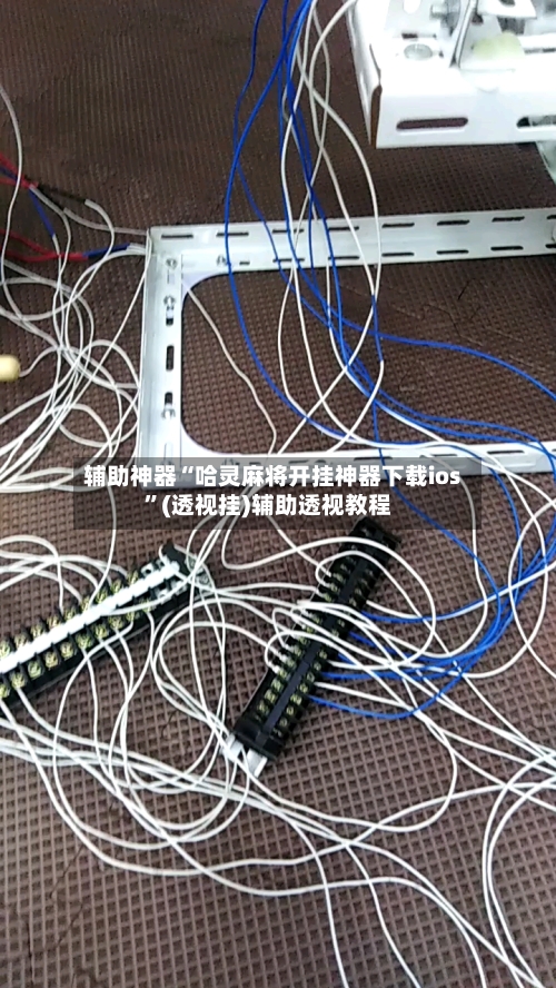 辅助神器“哈灵麻将开挂神器下载ios”(透视挂)辅助透视教程-第2张图片
