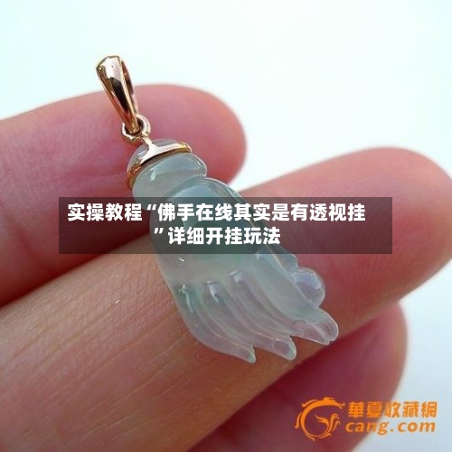 实操教程“佛手在线其实是有透视挂”详细开挂玩法-第3张图片