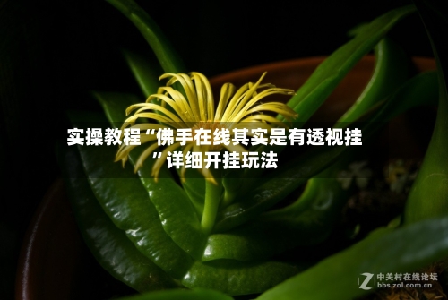 实操教程“佛手在线其实是有透视挂	”详细开挂玩法-第2张图片