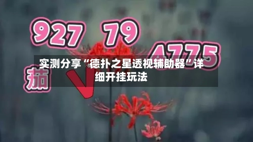实测分享“德扑之星透视辅助器	”详细开挂玩法-第2张图片