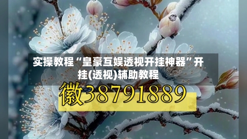 实操教程“皇豪互娱透视开挂神器”开挂(透视)辅助教程