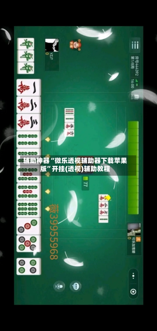 辅助神器“微乐透视辅助器下载苹果版	”开挂(透视)辅助教程-第2张图片