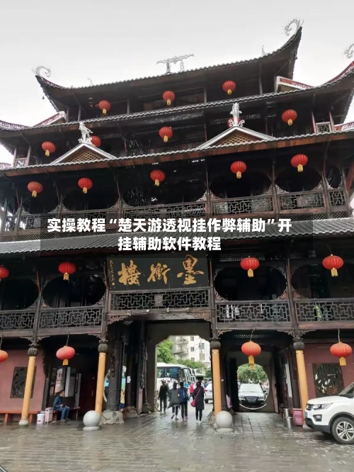 实操教程“楚天游透视挂作弊辅助	”开挂辅助软件教程-第2张图片